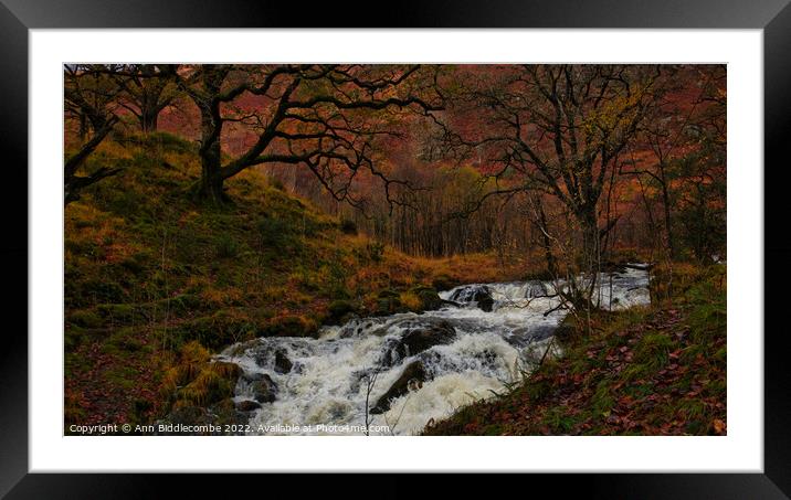 full river in the woods Framed Mounted Print by Ann Biddlecombe