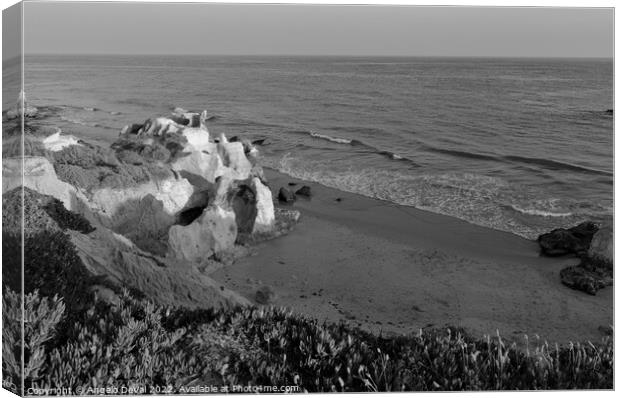 Over the Cliffs of Gale Beach in Monochrome Canvas Print by Angelo DeVal