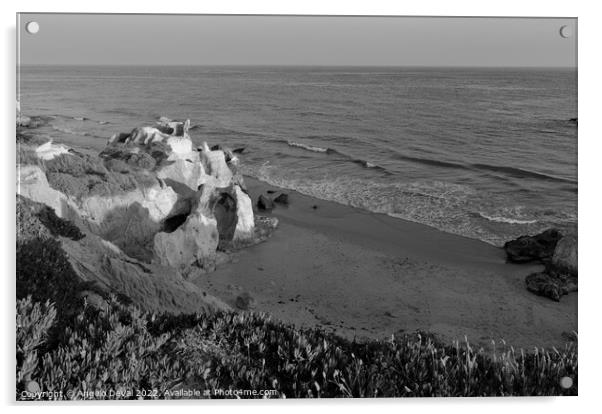 Over the Cliffs of Gale Beach in Monochrome Acrylic by Angelo DeVal