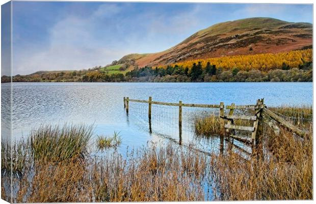 Loweswater Landscape and Fells Lake District Canvas Print by Martyn Arnold