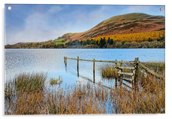 Loweswater Landscape and Fells Lake District Acrylic by Martyn Arnold