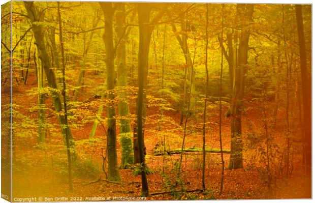 Autumn Canvas Print by Ben Griffin