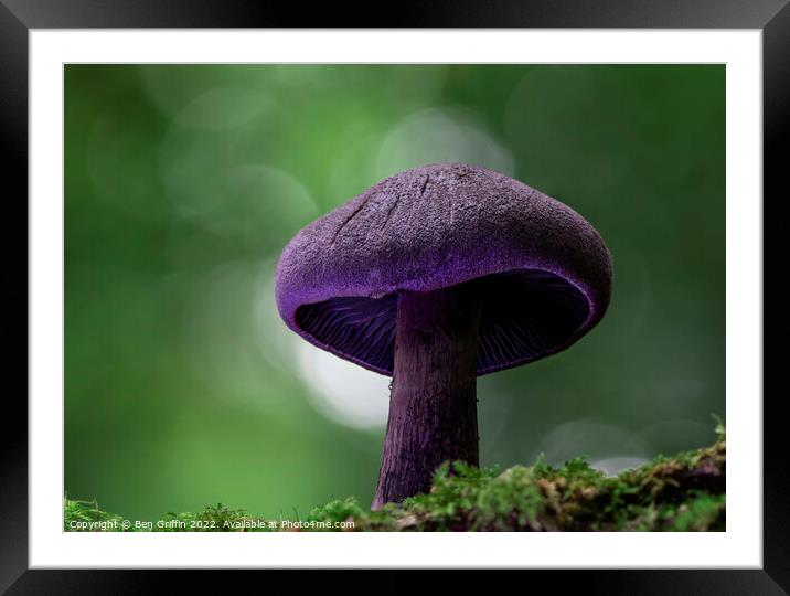 Magic Mushroom Framed Mounted Print by Ben Griffin