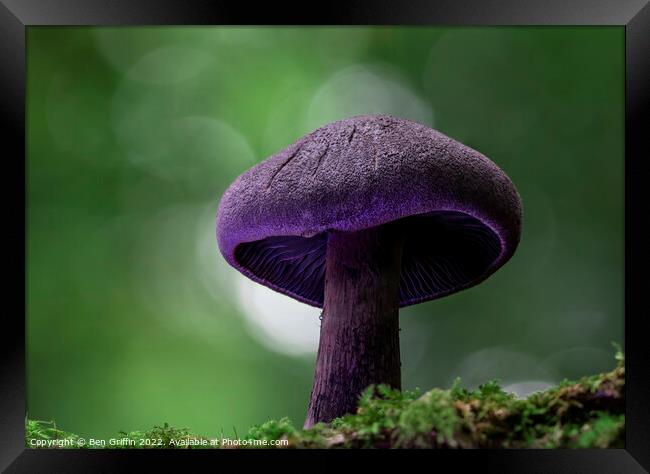 Magic Mushroom Framed Print by Ben Griffin