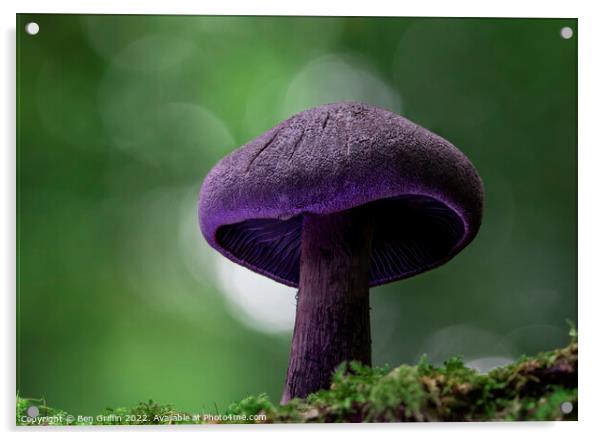 Magic Mushroom Acrylic by Ben Griffin