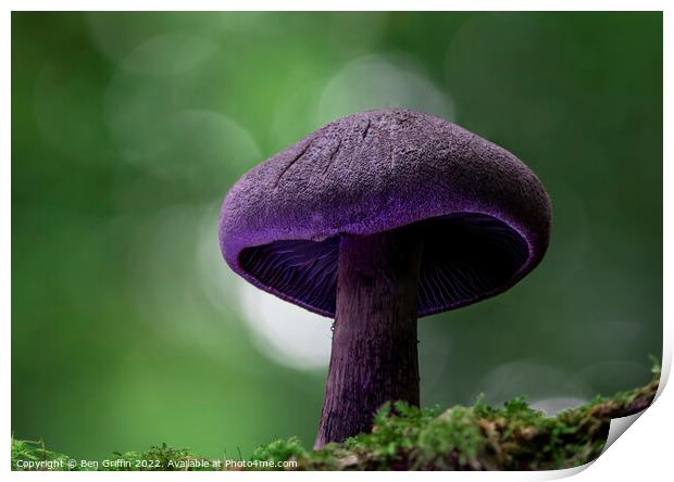 Magic Mushroom Print by Ben Griffin