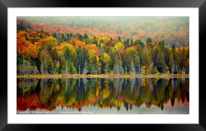 Morning at the Lake Framed Mounted Print by Robert Bell