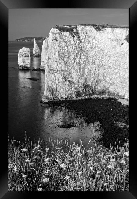 The Pinnacles Framed Print by Darren Galpin