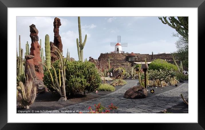 Catus garden in Lanzarote gran canaries  Framed Mounted Print by Les Schofield