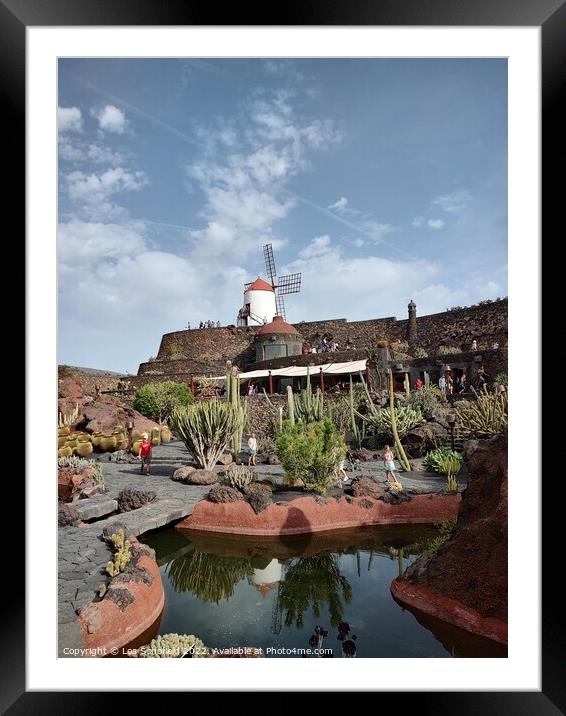 Windmill in catus garden Lanzarote gran canaries  Framed Mounted Print by Les Schofield