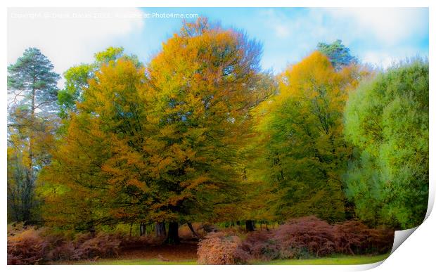 Golden Glow in New Forest Print by Derek Daniel