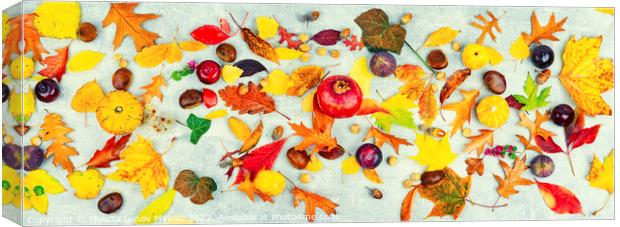 Herbarium, collection of autumn leaves Canvas Print by Mykola Lunov Mykola