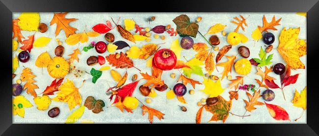 Herbarium, collection of autumn leaves Framed Print by Mykola Lunov Mykola