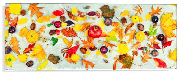 Herbarium, collection of autumn leaves Acrylic by Mykola Lunov Mykola