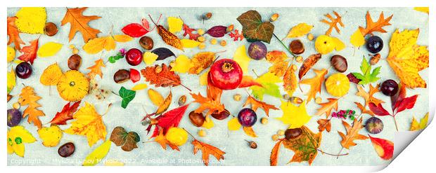 Herbarium, collection of autumn leaves Print by Mykola Lunov Mykola