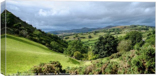 Vale of Llangollen Panoramic Canvas Print by Diana Mower