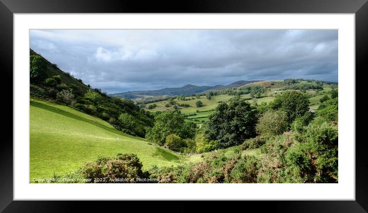 Vale of Llangollen Panoramic Framed Mounted Print by Diana Mower
