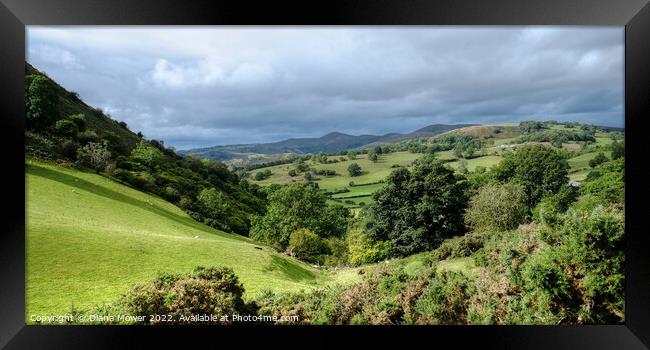 Vale of Llangollen Panoramic Framed Print by Diana Mower