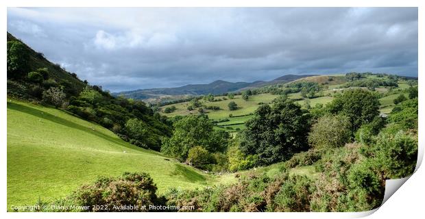 Vale of Llangollen Panoramic Print by Diana Mower