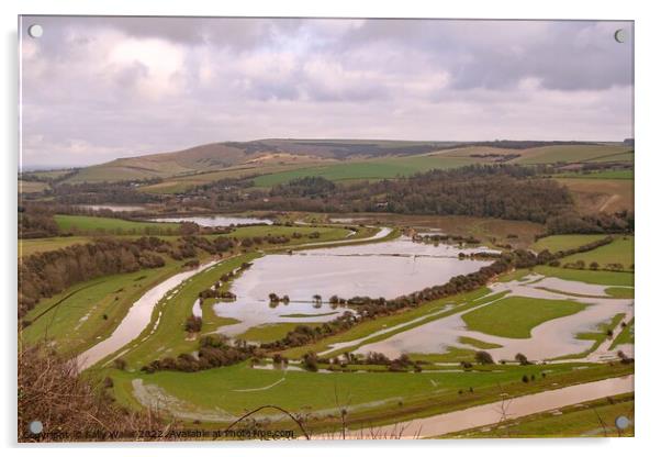 Flooded Cuckmere valley Acrylic by Sally Wallis