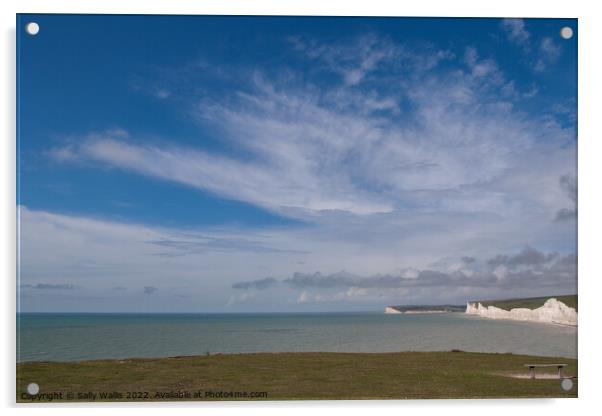 Seven Sisters at Burling Gap, Sussex Acrylic by Sally Wallis