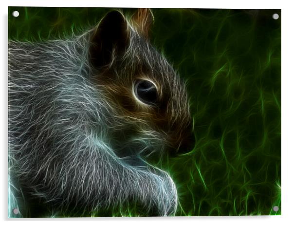 The grey squirrel Acrylic by kathy white