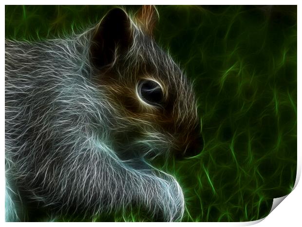 The grey squirrel Print by kathy white