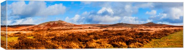 Widgery Cross, Brat Tor & Doe Tor Common Dartmoor Canvas Print by Maggie McCall