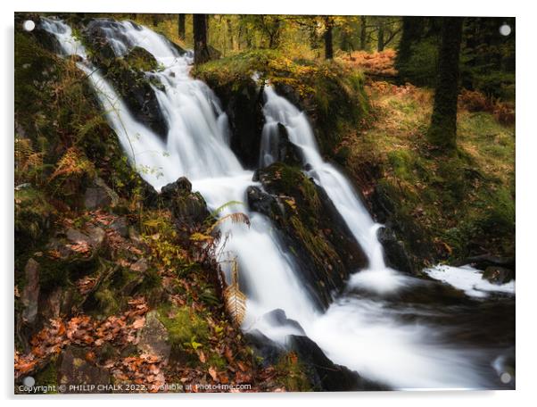 Tarn Howes waterfall 842  Acrylic by PHILIP CHALK