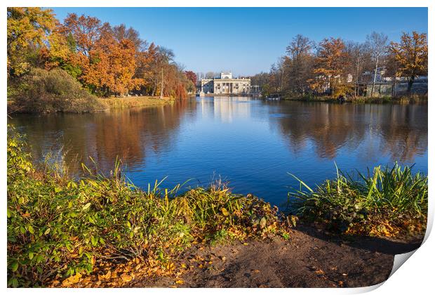 Autumn In Royal Lazienki Park In Warsaw Print by Artur Bogacki