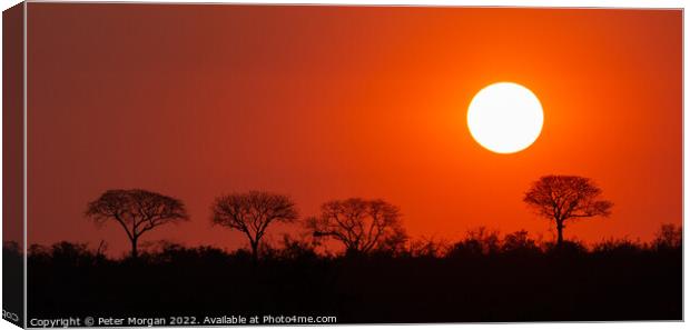African Sunset Canvas Print by Peter Morgan