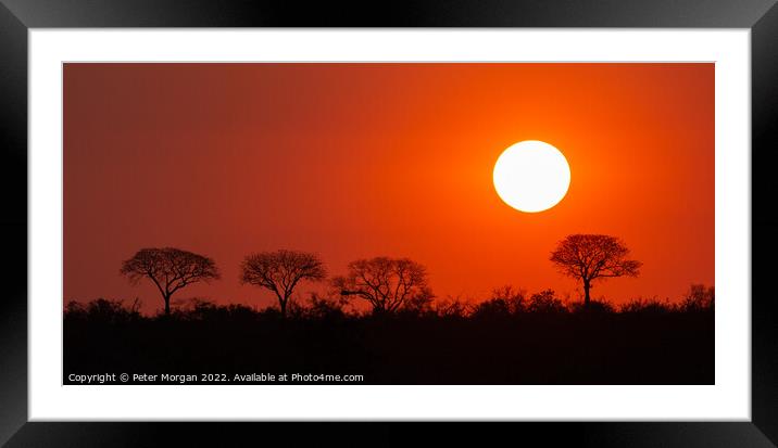 African Sunset Framed Mounted Print by Peter Morgan