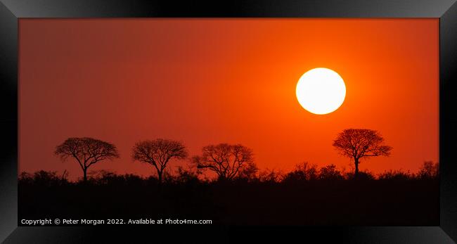 African Sunset Framed Print by Peter Morgan