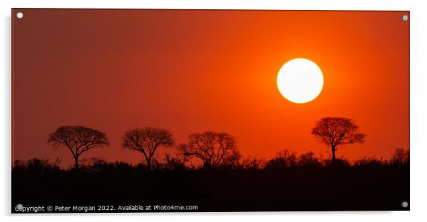 African Sunset Acrylic by Peter Morgan