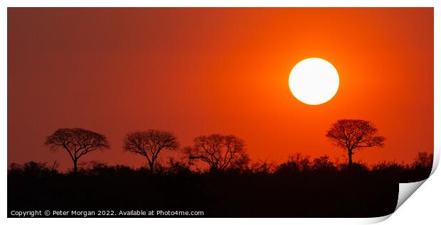 African Sunset Print by Peter Morgan