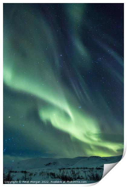 Lapland Aurora Print by Peter Morgan