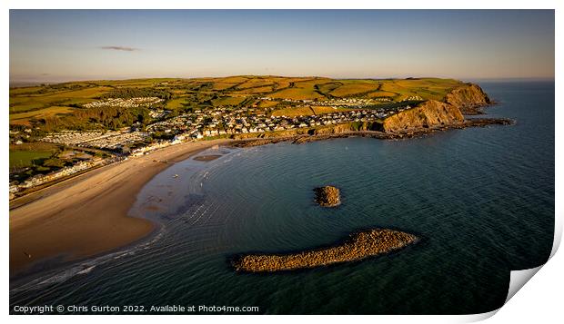 Borth from the Air Print by Chris Gurton