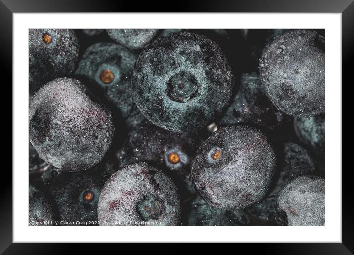 Blueberry Worlds  Framed Mounted Print by Ciaran Craig
