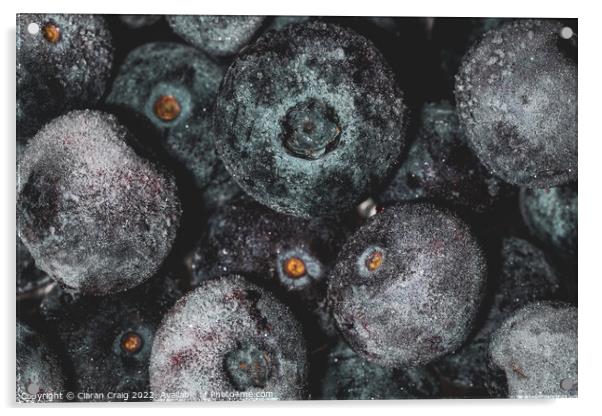 Blueberry Worlds  Acrylic by Ciaran Craig
