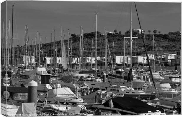 Albufeira Marina Boats in Monochrome  Canvas Print by Angelo DeVal