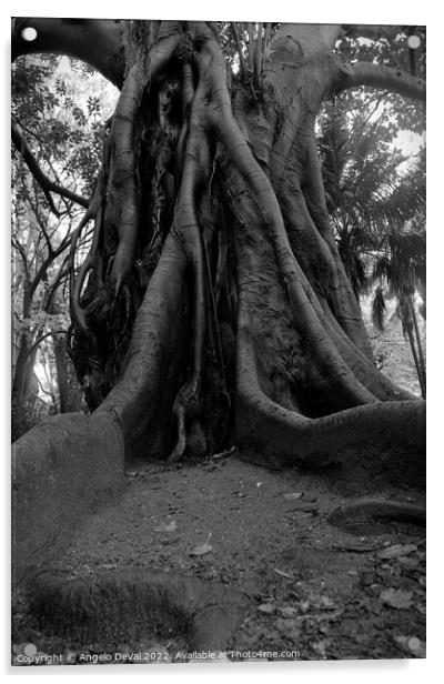 Tree at Rain in Monochrome Acrylic by Angelo DeVal