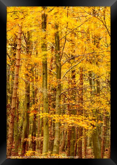 Wind blown autumn woodland Framed Print by Simon Johnson