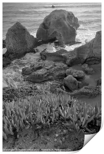 Nature of Gale Beach in Monochrome Print by Angelo DeVal