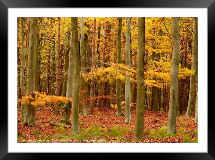 wind blown Autumn woodland Framed Mounted Print by Simon Johnson