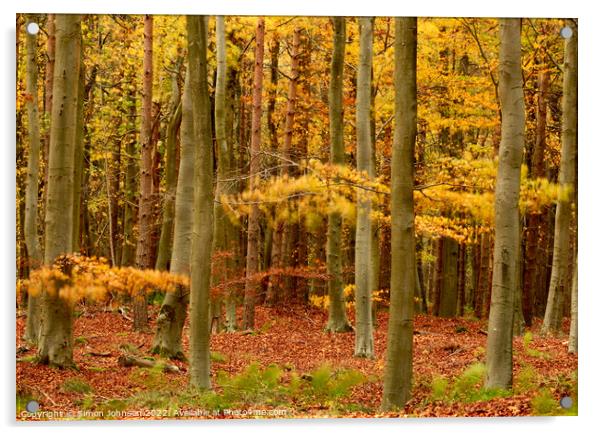 wind blown Autumn woodland Acrylic by Simon Johnson