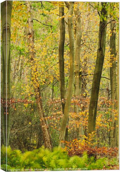 Autumn woodland Canvas Print by Simon Johnson