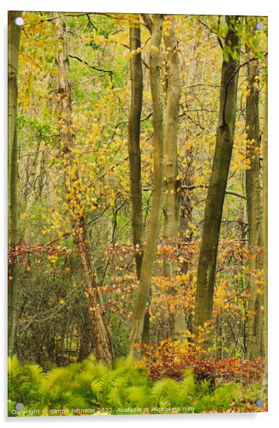 Autumn woodland Acrylic by Simon Johnson