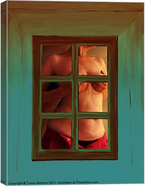 Cottage Window Canvas Print by Trevor Butcher