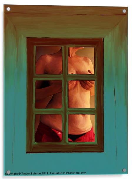 Cottage Window Acrylic by Trevor Butcher