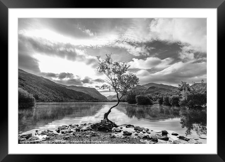 Calm Before the Storm Framed Mounted Print by Adrian Burgess